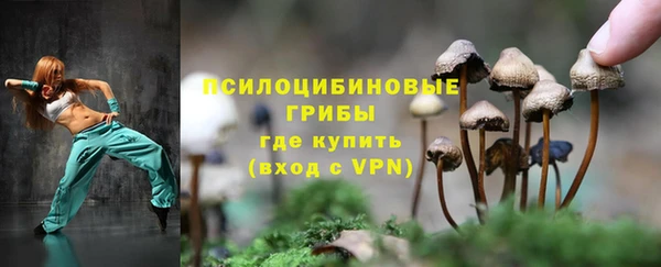 Альфа ПВП Балабаново